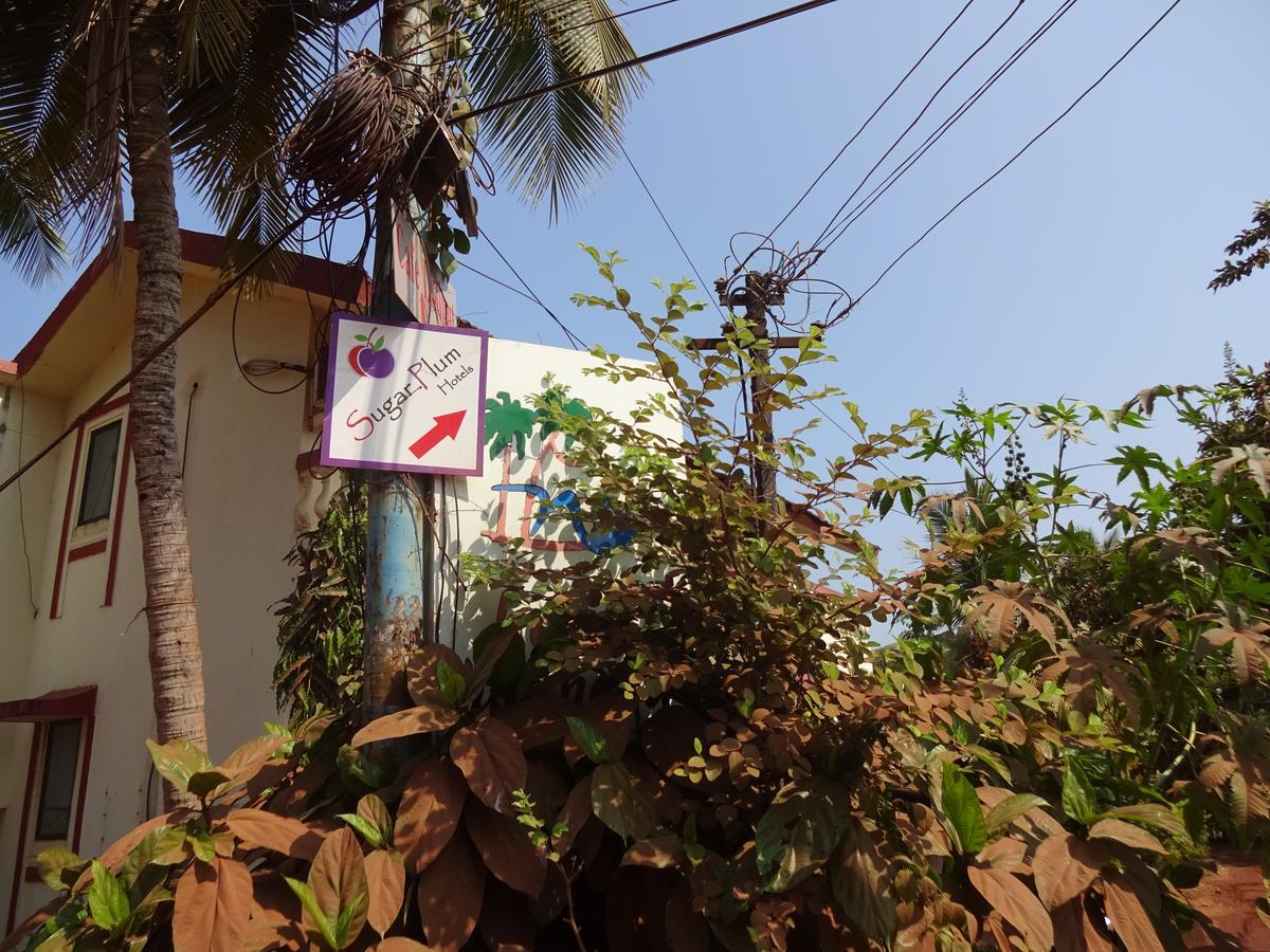 Bed and Breakfast Sugar Plum Macedo Palms Baga Exterior foto